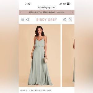 Birdy Grey Gwennie chiffon bridesmaid dress in sage.